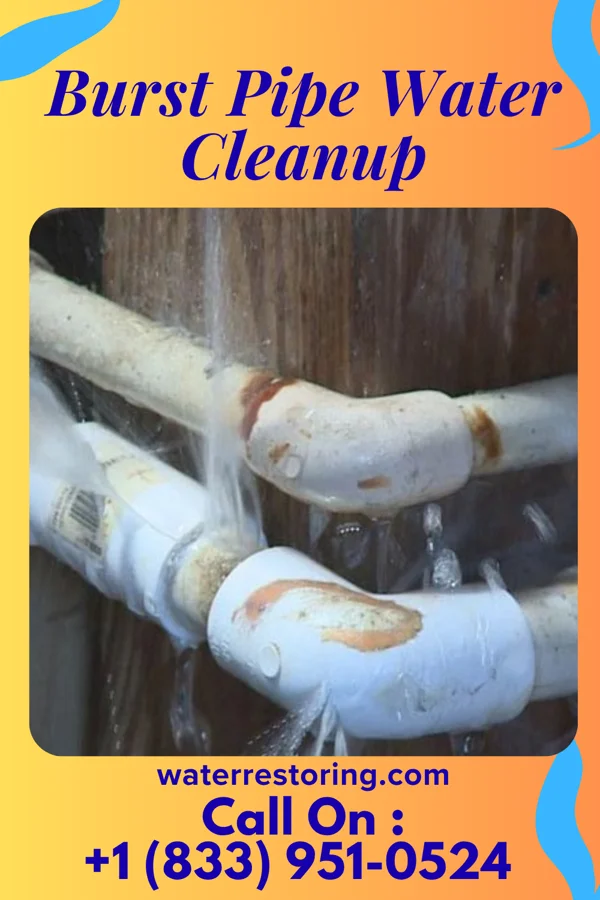 Burst Pipe Water Cleanup in Box Elder, SD