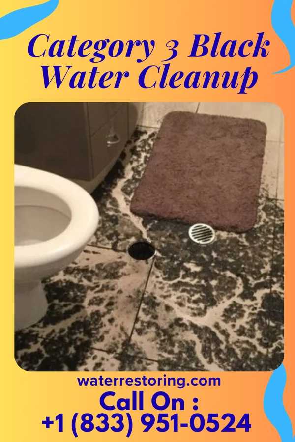 Category 3 Black Water Cleanup in Box Elder, SD